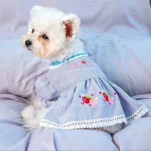 Magic puppy blue dog dress
